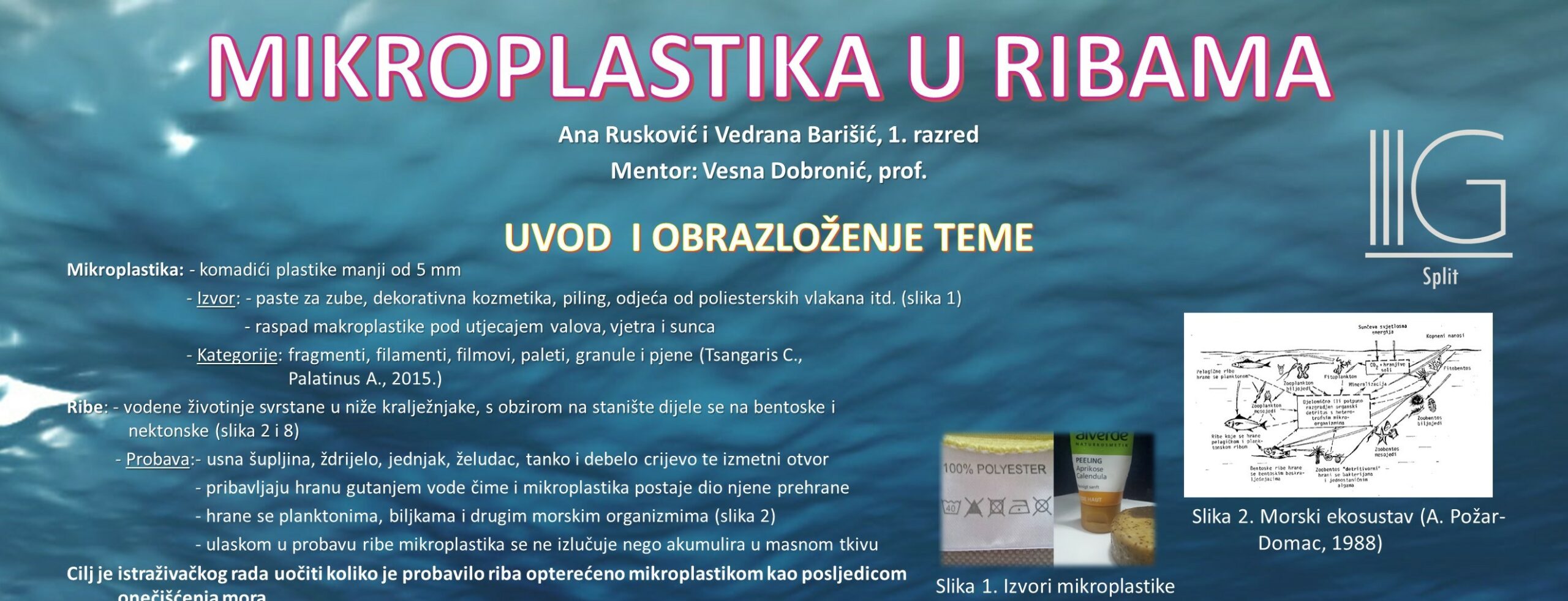 Mikroplastika_plakat_sl_odsječak